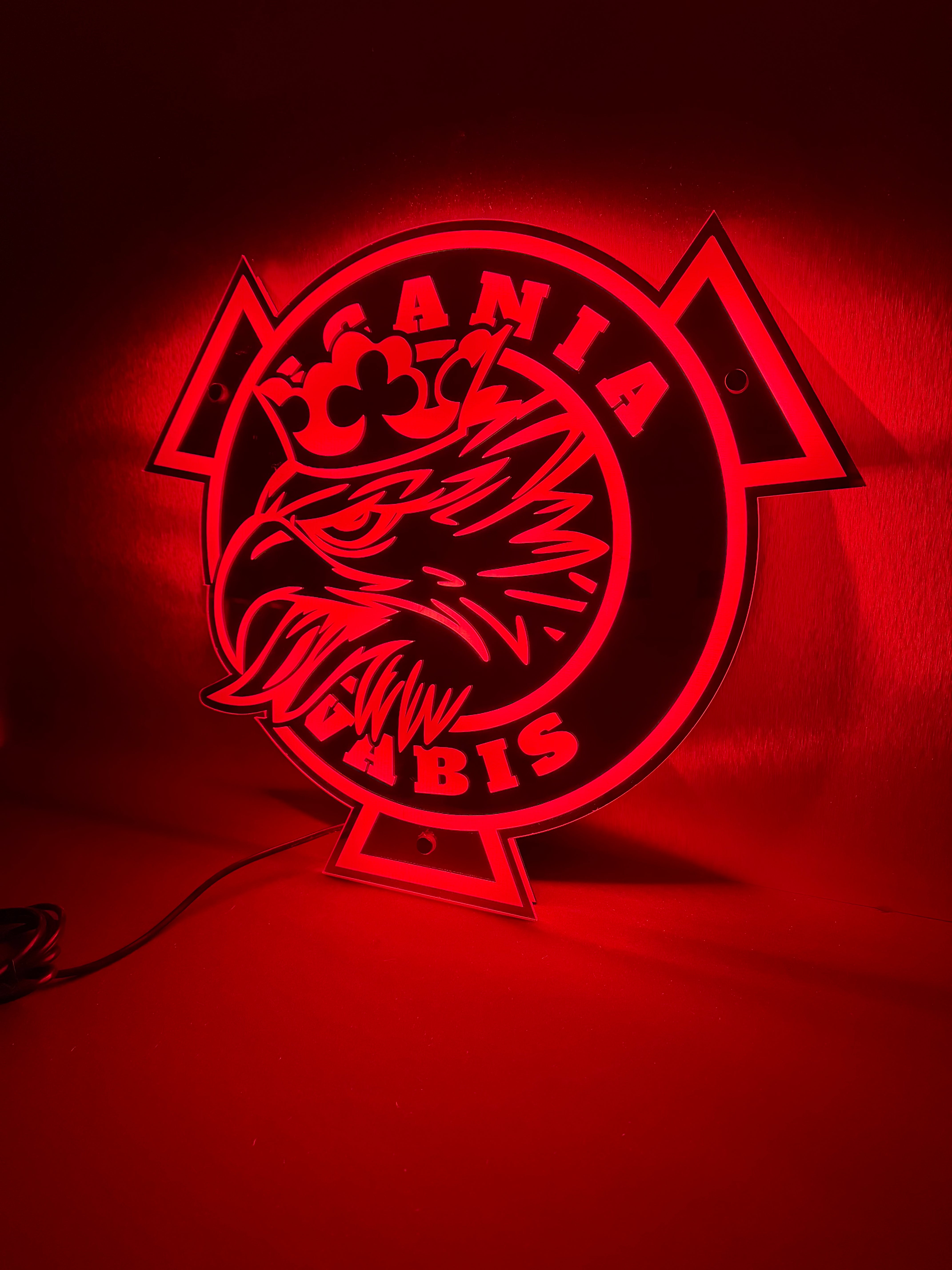 Scania Vabis Runder LED-Rückspiegel V2 - 55x48