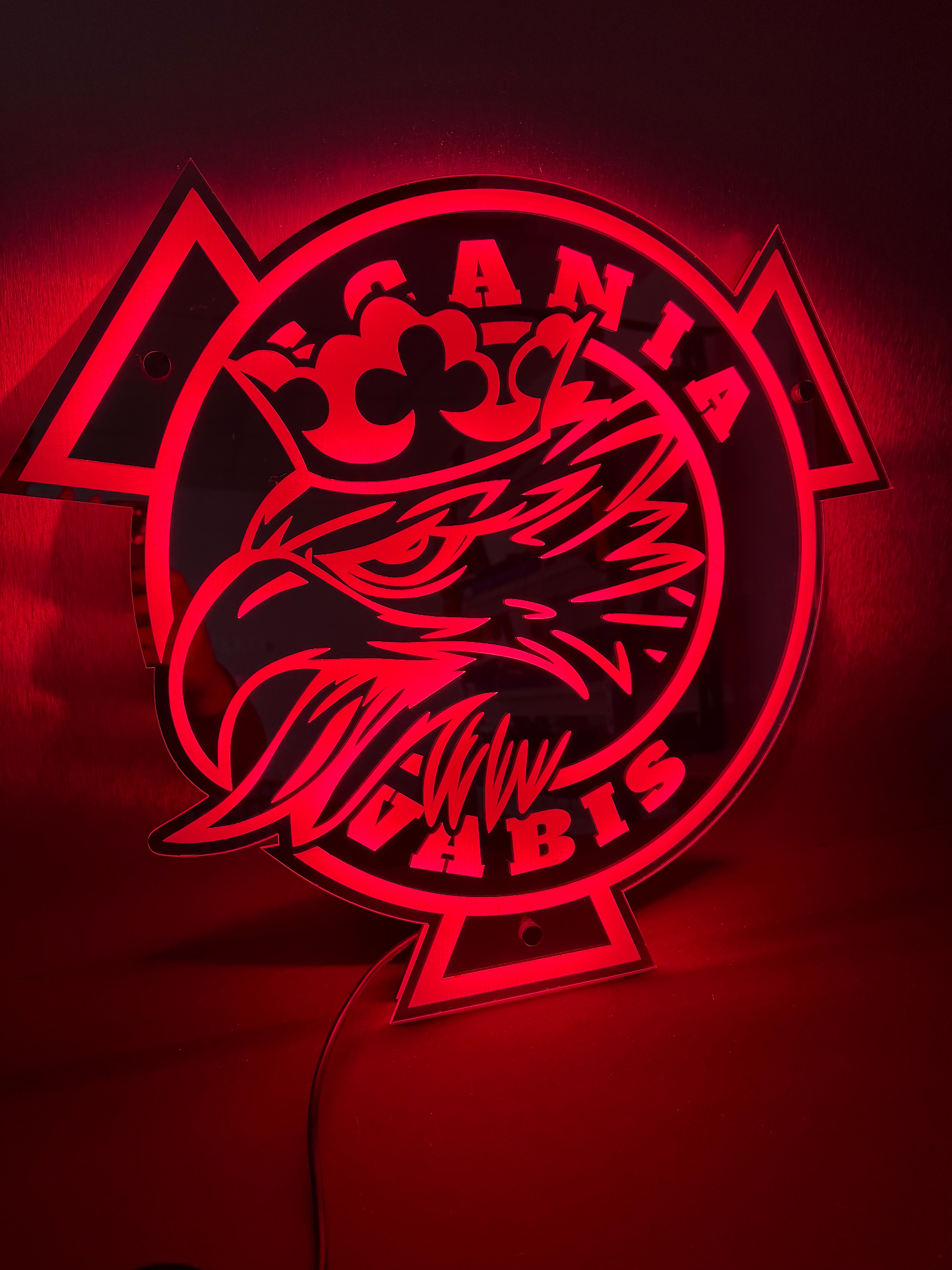 Scania Vabis Runder LED-Rückspiegel V2 - 55x48